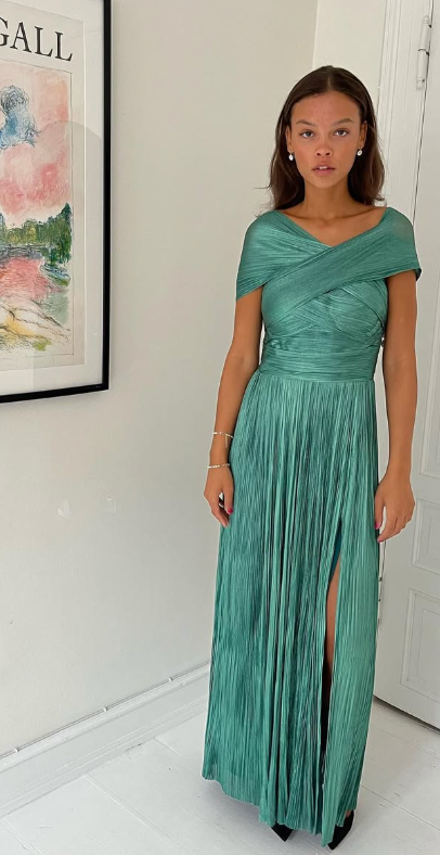 202. Maria Lucia Hohan - Theia dress