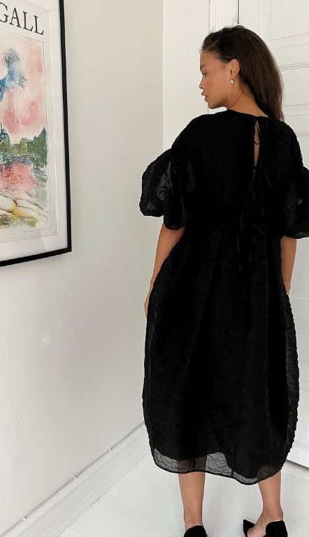 206. Cecilie Bahnsen - Jeanne dress