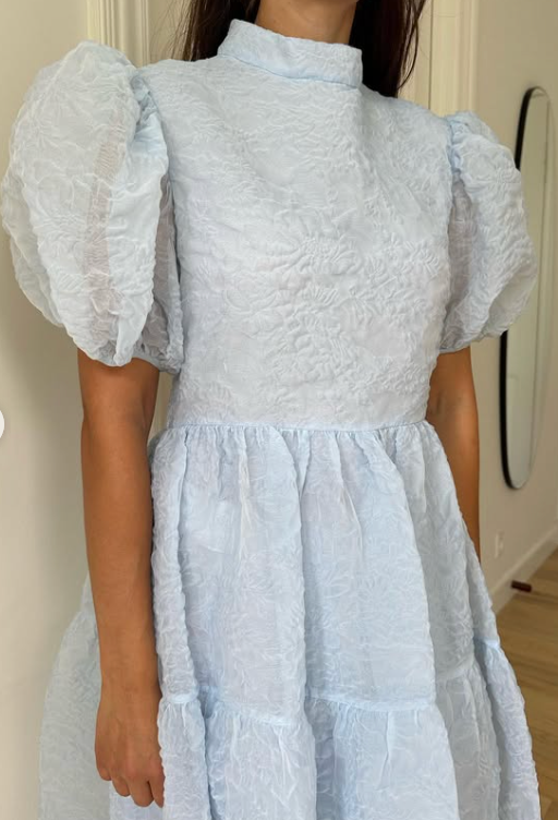 35. Cecilie Bahnsen - kelly dress