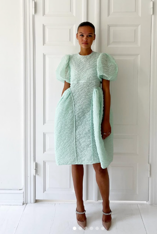 180. Cecilie Bahnsen - Mint fonda dress