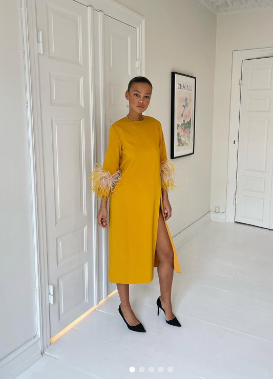184. 16 Arlington - Yellow feather dress